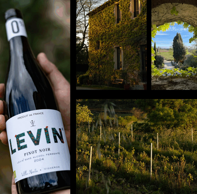 Non Alcoholic Wines