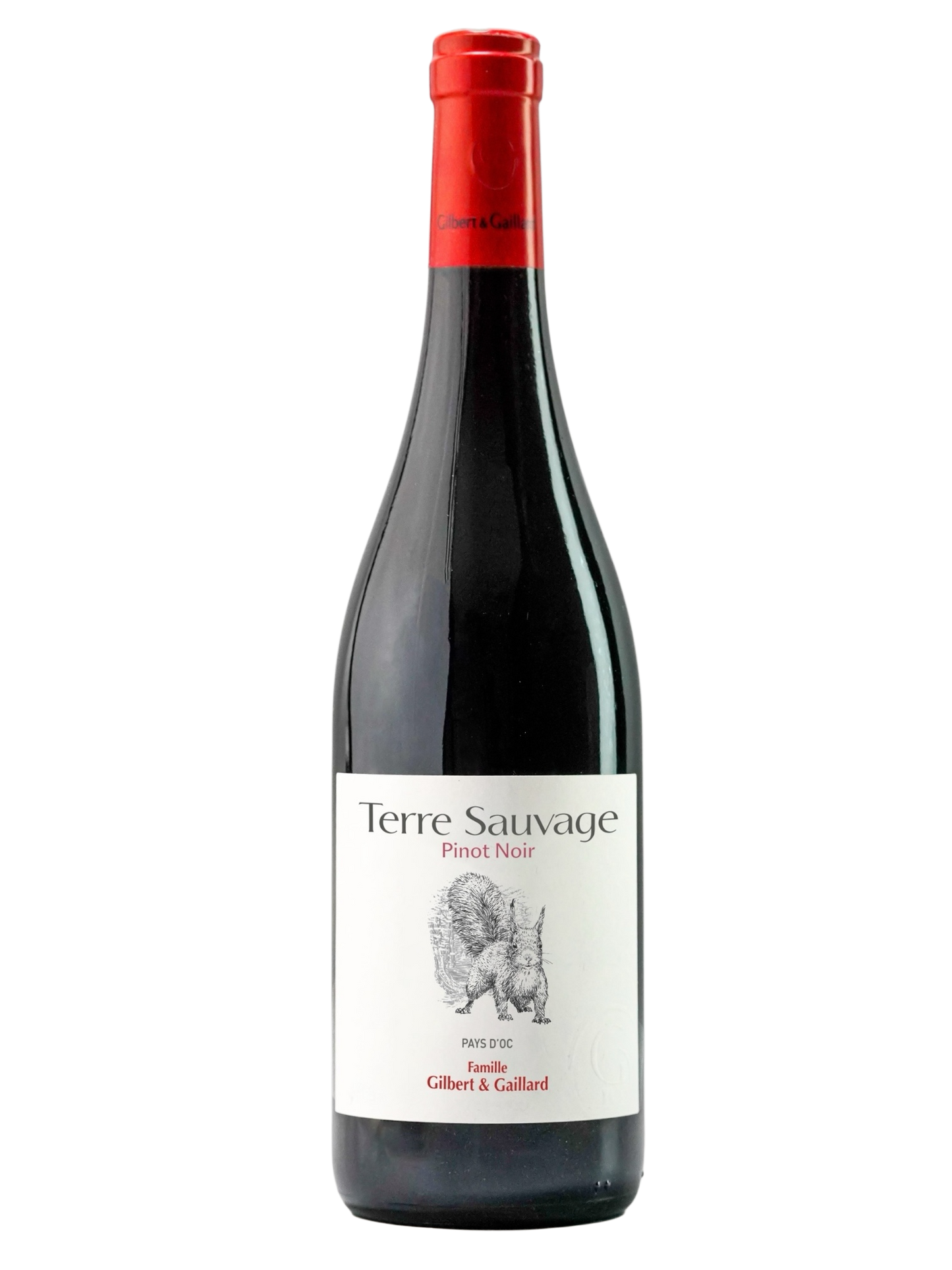 PINOT NOIR 2023
