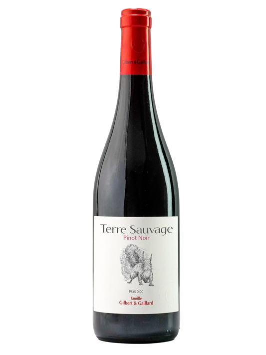 PINOT NOIR 2023